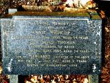 image of grave number 157626